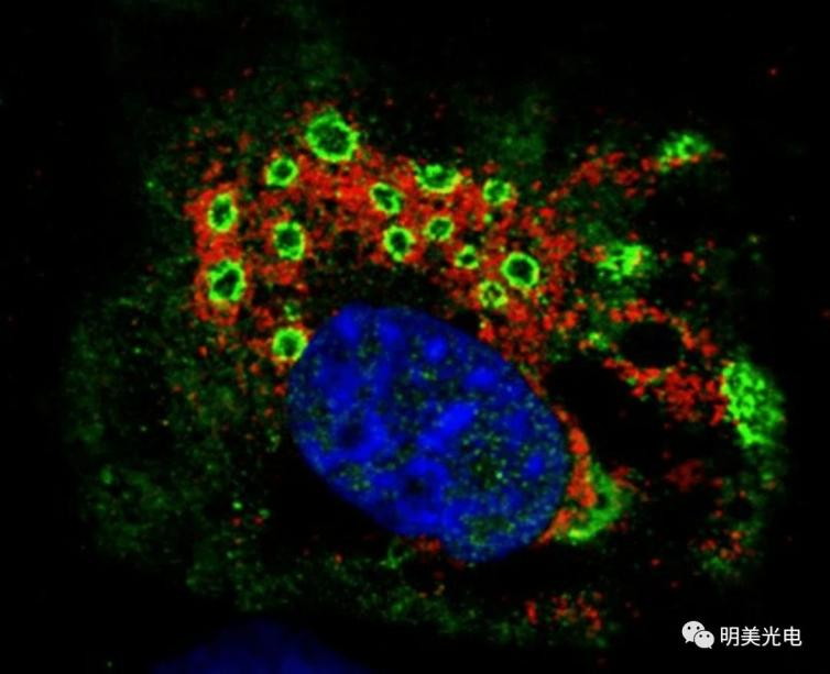 Virus Scouts — Unveiling the Application of Microscopes in Virus Laboratories of CDC application01