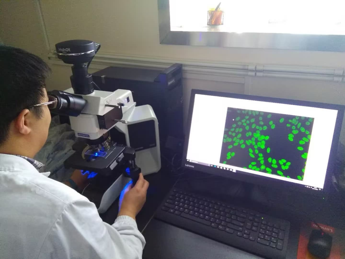 Upgrade Olympus BX51 / BX53 Microscope to LED Fluorescence