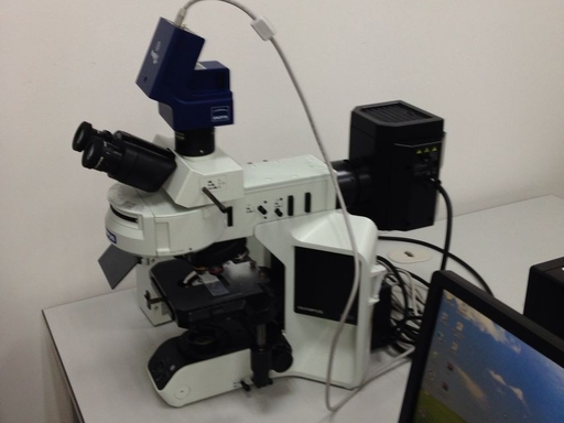 MSHOT Digital Display Upright Fluorescence Module for Evident BX41/BX43