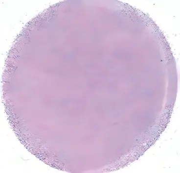 图片-1.png22-1 (1)