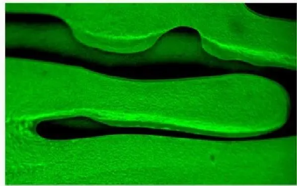 Industrial Materials and Chemical Analysis