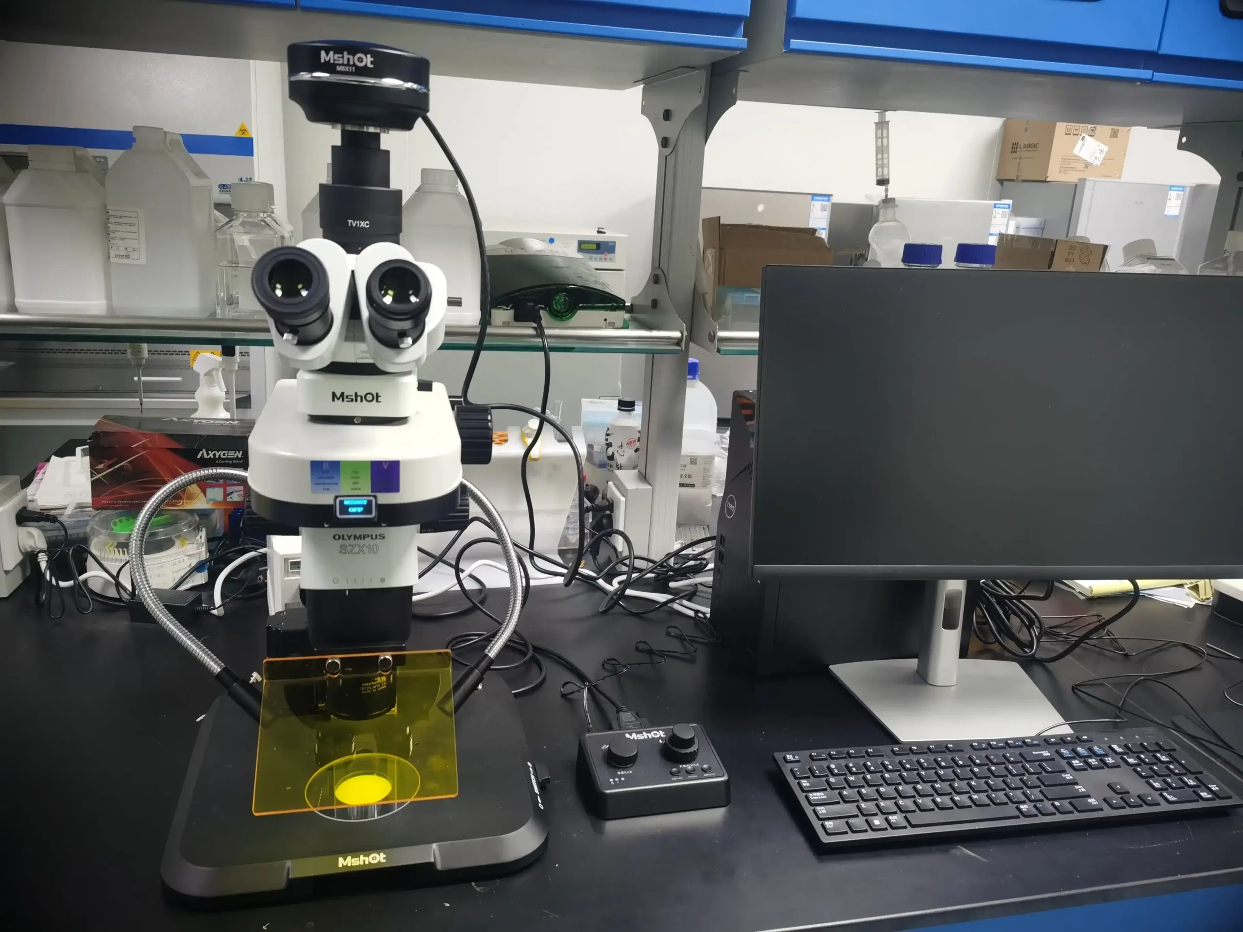 Upgrade Olympus SZX10 Stereo Microscope to LED Fluorescence